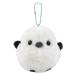 fu...simaenagaLMCsima Chan :702400