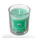  север видеть - ka через quotient Mint Candle( мята свеча )