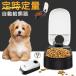  automatic feeder dog cat pet little amount pet food automatic feeding machine feeder one meal minute timer type hood dispenser maximum 48 hour . hour . amount tableware . absence number middle for small dog tableware 