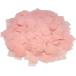  Sakura карточка для автографов, стихов, пожеланий дуть снег .... 4 квадратная форма 2cm размер 10.2g примерно 1500 листов Sakura дуть снег шоу постановка ( Sakura цвет ( свет розовый )10.2g примерно 1500 листов )