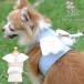  маленький размер собака Harness лучший type одежда в одном корпусе GLITTER POOCHdati Angel миниатюрный собака симпатичный шлейка простой оборудован текстильная застёжка ангел перо . покупка 