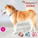  собака ошейник мир рисунок синий море волна Zenpets S размер 10mm ширина сделано в Японии бесплатная доставка стиль симпатичный . покупка 