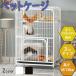  cat cage cat cage cat for gauge pet cage cat Circle stylish many step construction easy absence number protection . mileage prevention many head .. steel pet accessories 2 3 4 5 step 