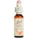 bachi цветок remeti Cherry слива 10ml glycerin модель 