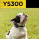 ���� ��� DOGTRA �h�N�g�� �m�[�o�[�N�g���[�i�[ YS300 �������� ���ʖi�� �� �g���[�j���O �y�b�g �֘A�摜1