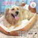  домашнее животное bed товары для домашних животных симпатичный нежный весна зима 4 сезон обращение хорошо .. кошка для bed осень новый продукт осень-зима новый продукт 