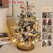 �N���X�}�X�c���[ ��� �N���X�}�X�c���[ 45cm 60cm �k�� ���^ �~�j�c���[ �N���X�}�X���� �d�r�� LED�C���~�l�[�V��