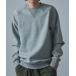  футболка тренировочный [Carhartt WIP]CHASE SWEATSHIRT I033660 мужской женский 