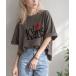 t�V���c ���� �uJaVa�W���o�R���{�v��l�J�W���A���ɂ��傤�ǂ����B��100�� ���B���e�[�W���n�[�gT�V���c ���f�B�[�X