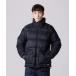  пуховик down [TAION]MOUNTAIN HI-NECK VOLUME DOWN JACKET / mountain pa Cub ru объем 