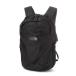 tei задний рюкзак [THE NORTH FACE( The * North * лицо )]GEMINI 22L мужской 