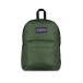 tei задний рюкзак JANSPORT BEYOND PACK( Jean спорт biyondo упаковка ) мужской 