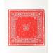  шарф бандана THE NORTH FACE The * North Face бандана peiz Lee BANDANA_PAISLEY_80'S