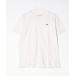 [LACOSTE] короткий рукав футболка S белый мужской 