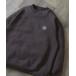 [ITEMS URBANRESEARCH] тренировочный cut and sewn LARGE Brown мужской 