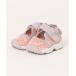 [NIKE] [KIDS] обувь 16 розовый серия прочее Kids 