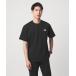 �m�[�X�t�F�C�X t�V���c �uWEB����v�uTHE NORTH FACE�v�V���[�g�X���[�u �o���_�i T�V���c �����Y
