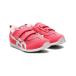 [SUKUSUKU] [KIDS] low cut спортивные туфли 16cm розовый Kids 