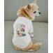  собака одежда [DOG]RENU photo Tee/UV cut * контакт охлаждающий * ссылка ko-te