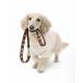  собака одежда PET TSHIRT FLOWERMARDI FRILL / домашнее животное футболка цветок ma Rudy оборка 