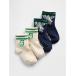  носки bla наан Bear балка City стиль GAP Logo носки 2 пар комплект ( ребенок * baby ) Kids ребенок мужчина 