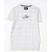 [Hollister] короткий рукав футболка X-SMALL серый мужской 