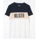 [Hollister] короткий рукав футболка X-SMALL белый мужской 