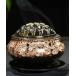  интерьер курильница керамика аромат установить есть incense02