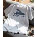 �p�^�S�j�A t�V���c �uPatagonia/�p�^�S�j�A�vFlying Fish Responsibili T-SHIRT / �t���C���O�t�B�b�V�� ���X�|���V�r���e�B�[ ����T�V���c