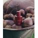  духи jo malone london [ ограниченное количество ] Joe ma заем London алый Beetle -to одеколон 30mL женский мужской 