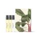  духи jo malone london [ ограниченное количество ] Joe ma заем London Discovery коллекция 3 x 1.5mL женский мужской 