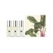  духи jo malone london [ ограниченное количество ] Joe ma заем London Discovery коллекция 3 x 9mL женский мужской 