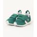 [CONVERSE] [KIDS] low cut спортивные туфли 13cm зеленый Kids 