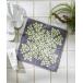 носовой платок полотенце носовой платок гавайские стеганые изделия рисунок Hare Гаваи серии женский мужской 