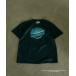 t�V���c The Strokes for bonjour records Official S/S Tee �U�E�X�g���[�N�X �I�t�B�V���� T�V���c �����Y ���f�B�[�X
