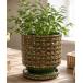 �ԕr �u���ꌊ�E�󂯎M�t���vYARD inc - CUBIC pot �� saucer - �i�q�͗l���֖�̕\����y���ޖ�3�`5���Ή��̃Z���~�b�N�A�ؔ��V���[�Y�@M�T�C�Y