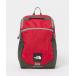  North Face рюкзак [WEB ограничение ][THE NORTH FACE]rek tang рюкзак (17L)/ Kids Kids ребенок мужчина девочка 