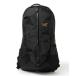 tei задний рюкзак ARC*TERYX / Arro 22 Backpack мужской 