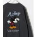 �uDisney�v �����J�b�g�\�[ M �X�~�N�� ���f�B�[�X