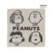 носовой платок PEANUTS полотенце носовой платок [ Snoopy &f линзы ] женский мужской 