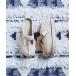 ugg �X�j�[�J�[ UGG/W GOLDENSTAR HI CLOG ���f�B�[�X