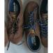 �X�j�[�J�[ adidas Originals (�A�f�B�_�X �I���W�i���X)  �ʒ� GAZELLE LO PRO �����Y ���f�B�[�X