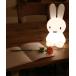  FIRST LIGHT MIFFY AND FRIENDS