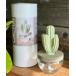  салон аромат CACTUS FRAGRANCE DIFFUSER/kaktas аромат диффузор 