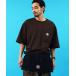 �G�v���� Carhartt ���[�N�G�v����