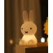  освещение Bundle of Light Miffy / Boris / лев 
