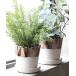  ваза TERRACOTTA BICOLOR POT/4.5 номер цветочный горшок 