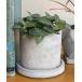  ваза CEMENT POT ROUND S/3 номер цветочный горшок 