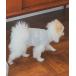  собака одежда [CAT&DOG][.. определенные товары ]bebimo коннектор pdog тянуть over 