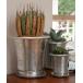  ваза ALUMINUM POT L WITH SAUCER/6.5 номер цветочный горшок 